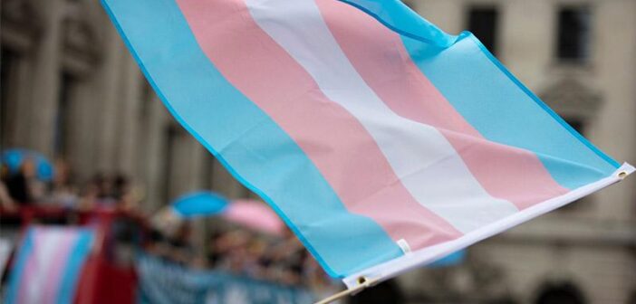 Direitos previdenciários para as pessoas transexuais